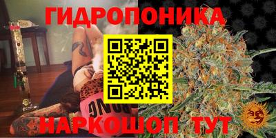 ECSTASY Нягань
