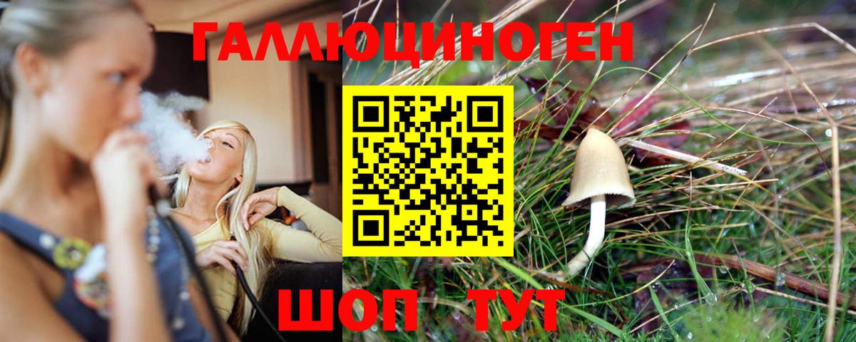 Чайковский  Псилоцибиновые грибы Psilocybe  Вход с VPN  Галлюциногенные грибы GOLDEN TEACHER 