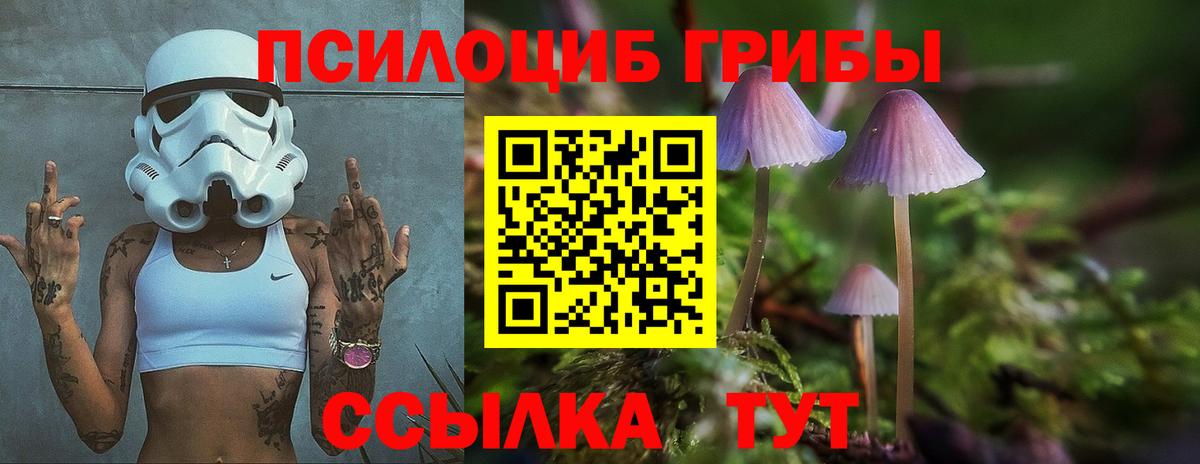 Псилоцибиновые грибы мицелий Чайковский