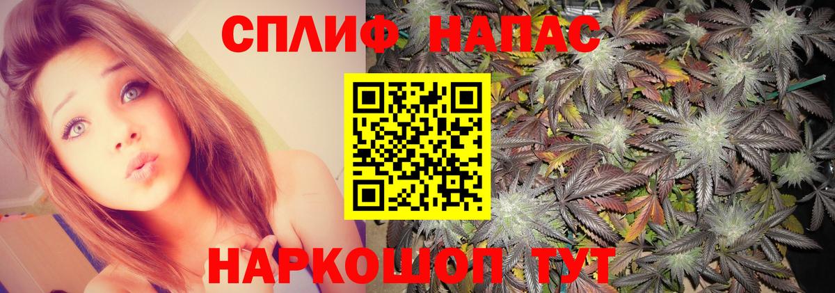 Каннабис план Чайковский